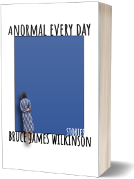 A Normal Every Day – Stories
